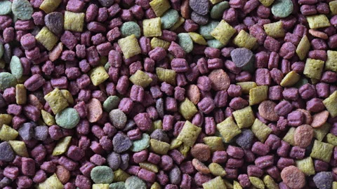Cat food background and texture , top view, rotate Stock Footage 194468783