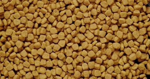 Cat food Stock Footage 146482315