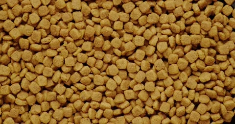 Cat food Stock Footage 146482363
