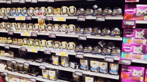 Cat food Stock Footage 284105462