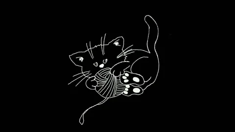 Cat Stock Footage 172599786