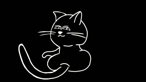 Cat Stock Footage 173503233
