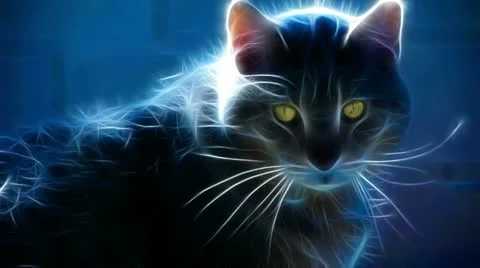 Cat. Fractal Rendering Video stock 12572971