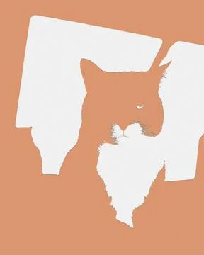 Cat in front of cast shadow of a window. Illustration Stock Photos