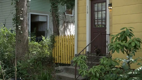Cat On Front Step Slow Motion Stock Footage 127316840