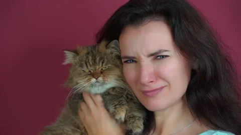 A cat with a funny face in the hands of the owner Stock Footage 141685857