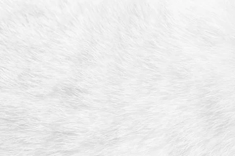 Cat fur close up background texture. White abstract stripes. Stock Photos