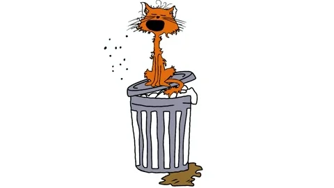 A cat on a garbage can Stock Footage 255240234