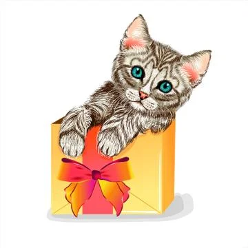 Cat in a gift box. Cute kitten. Wall stickers Stock Illustration