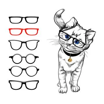 Cat with glasses Stock Illustration