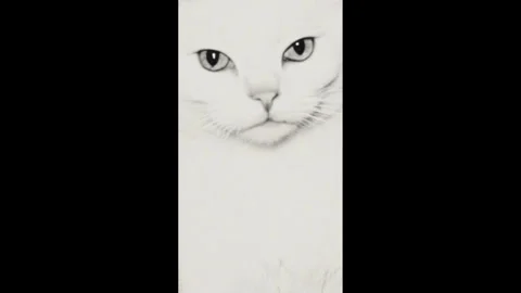 Cat glitch sparkle light leaks retro disco animation lomo look 4k pro res Stock Footage 300312372