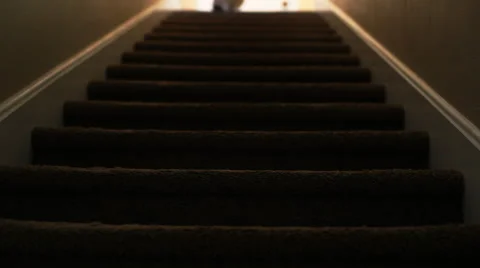 Cat going down stairs Stock Footage 52995718
