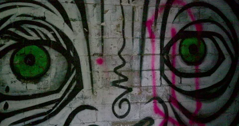 Cat graffiti Medium Stock Footage 164134403