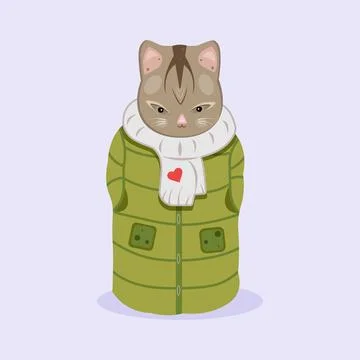 Cat in a green coat. Stock Illustration