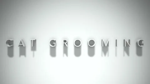 Cat grooming 3D title animation white text on a white background Stock Footage 299425945