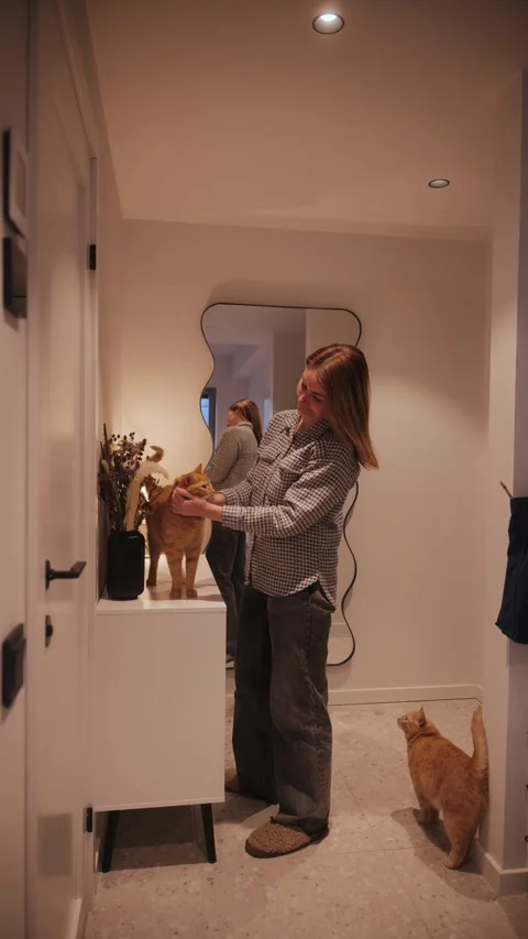 Cat grooming activity in a modern hallway with a woman and orange cat Stock Footage 341506905