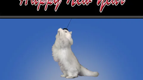 Cat Happy New Year Vidéo 33548890