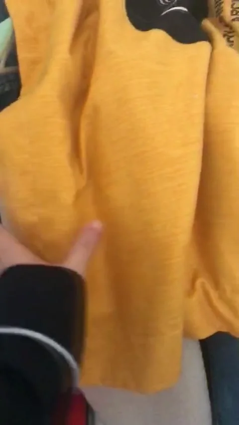 Cat Has a Clever Hiding Spot, Shenzhen, Stock Video Pond5