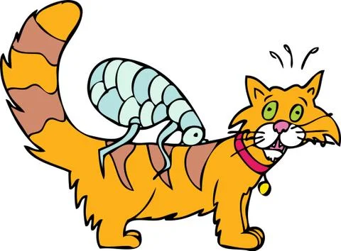Cat has fleas Stock Illustration