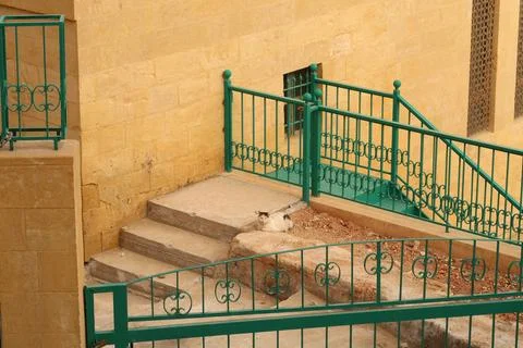 Cat having a rest in the courtyard surrounded by green turquoise railings in Stock Photos
