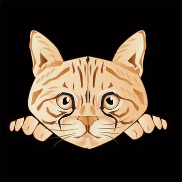 Cat Head and expression Vector Illustration Stock Illustration