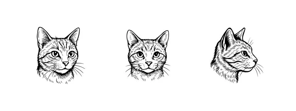Cat Head Set Bundle Vector – Cute Feline Illustration Pack Stock Illustration