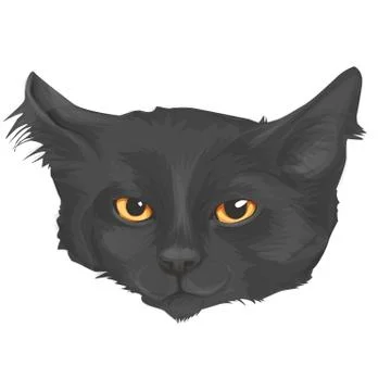 Cat head, sketch vector graphic, cartoon style, isolated Stock Illustration