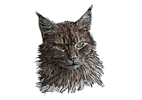 Cat head vector illustration Stock Illustration