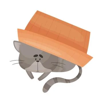 Cat Hiding Under Cardboard Box and Peeped Out From it Vector Illustration Stock Illustration