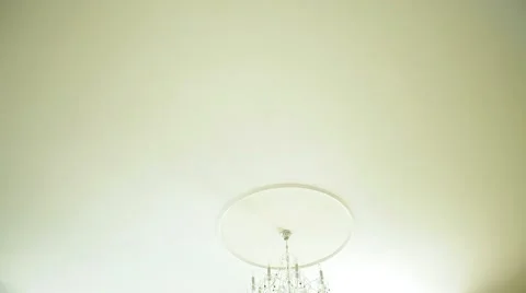 Cat In The House Video stock 52432468