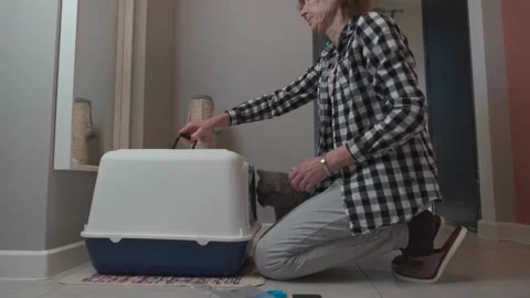 Cat hygiene theme and pet litter box at home. A mature woman is working on a Stock Footage 170383318