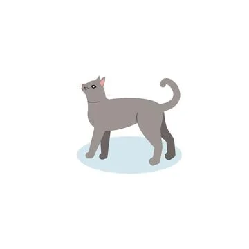 Cat icon flat style on white background Stock Illustration