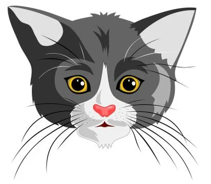 Cat Stock Illustration