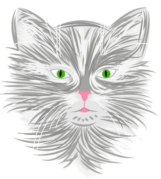 Cat Stock Illustration