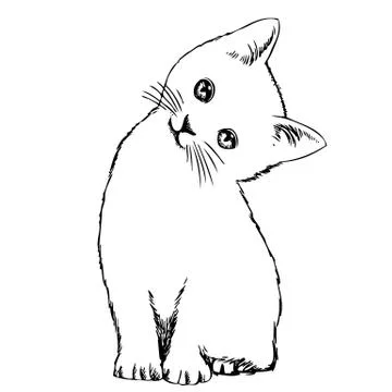 Cat Stock Illustration