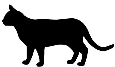 Cat Stock Illustration