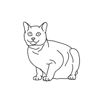 Cat Stock-Illustration