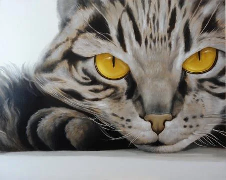 Cat . Stock Illustration