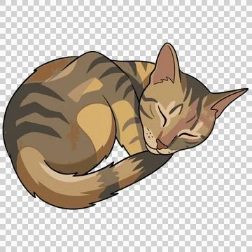 Cat Ilustração Stock