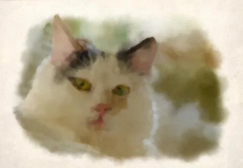 Cat Illustration Stock Illustration