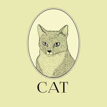 Cat illustration vector Stock Illustration
