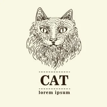 Cat illustration vector Stock Illustration