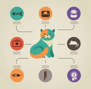 Cat infographics with vector icons set Stock Illustration