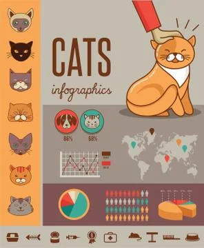 Cat infographics with vector icons set Stock Illustration