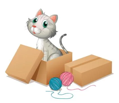 A cat inside the box Ilustração Stock