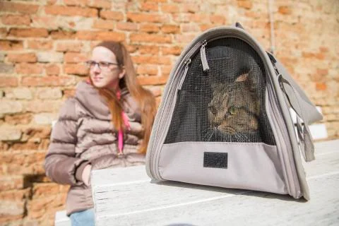 Cat inside carry bag and woman sitting behind Stock Photos