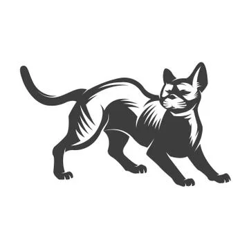 Cat  isolated on white background. Stock Illustration