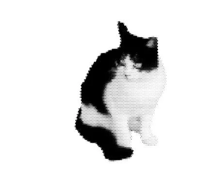 Cat. Isolated on white background. Vector illustration. 스톡 일러스트