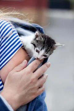 Cat jacket Foto stock