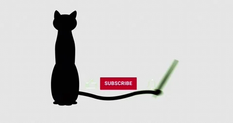 Cat join Stock-Footage 202973020